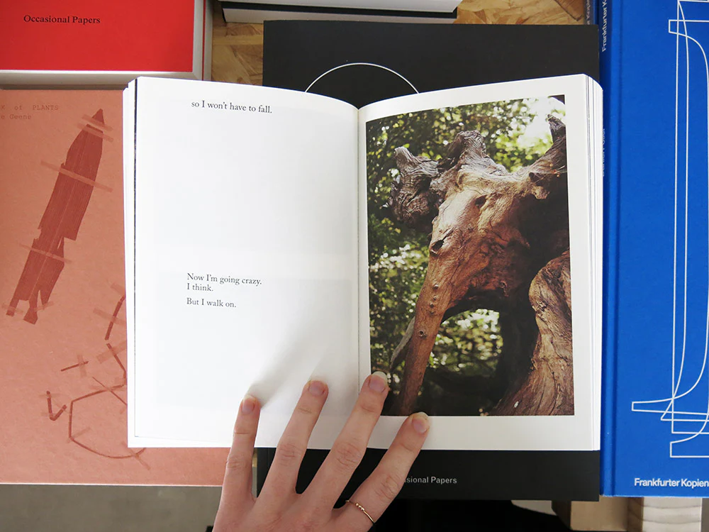 Jaap Scheeren – Flipping the Bird - Image 6
