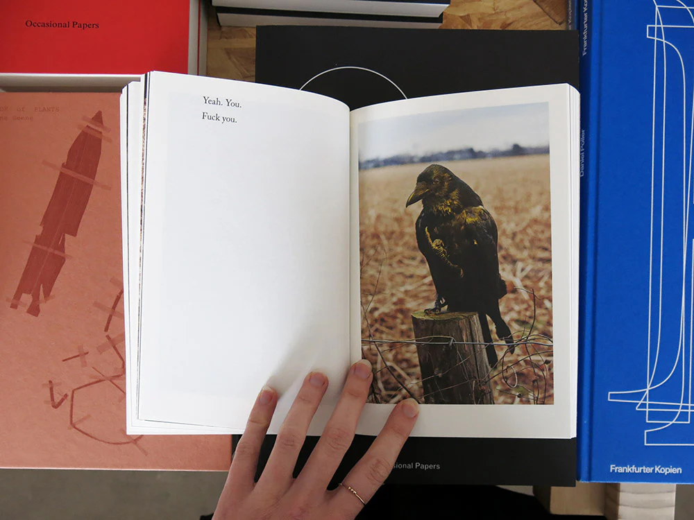 Jaap Scheeren – Flipping the Bird - Image 7