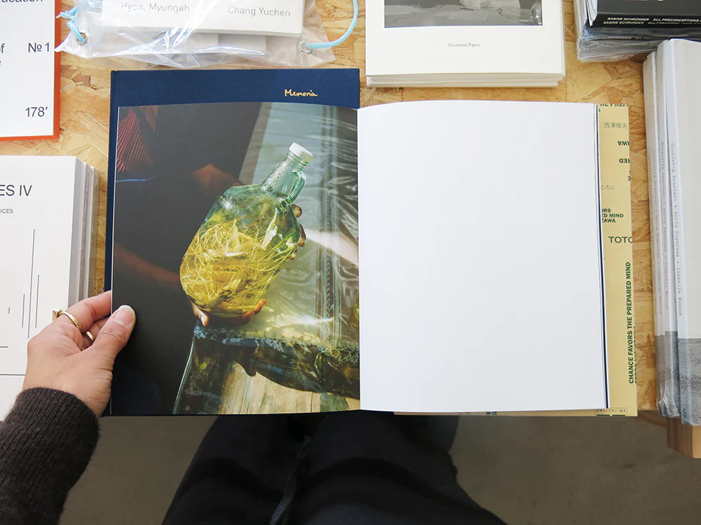 Jake Nemirovsky – Big Bug - Image 11