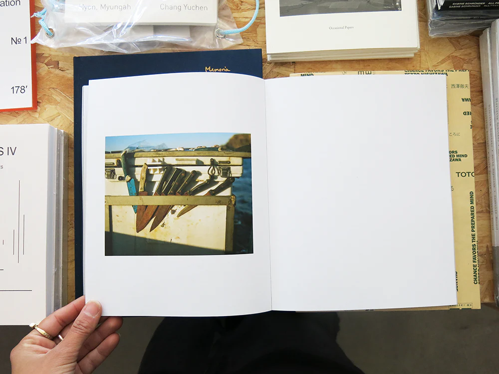 Jake Nemirovsky – Big Bug - Image 3