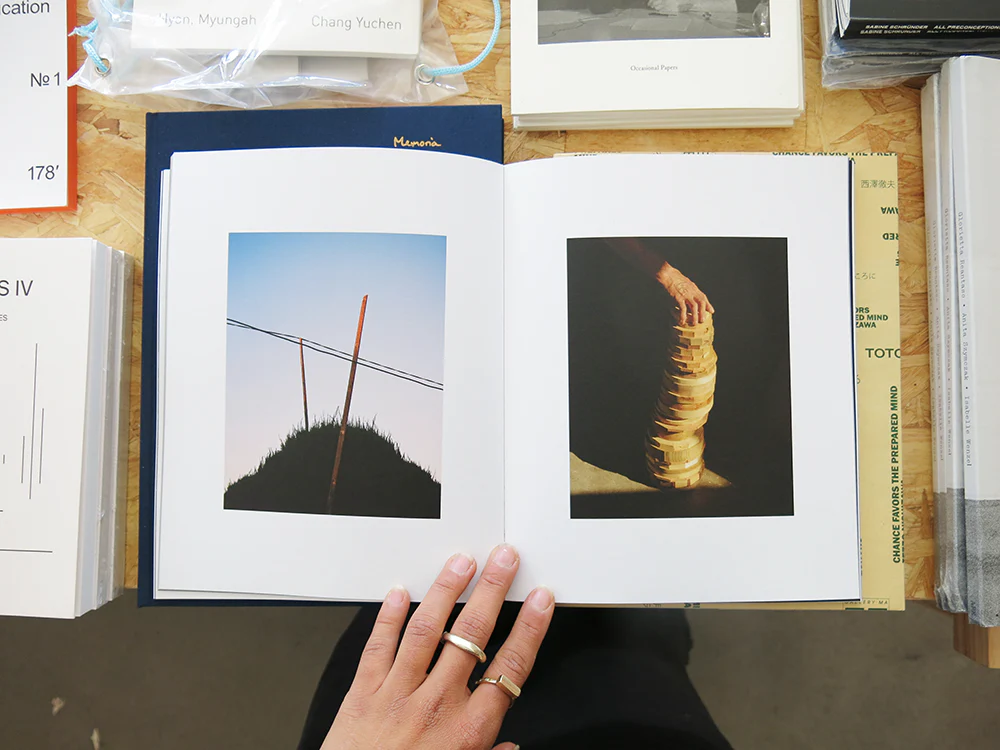 Jake Nemirovsky – Big Bug - Image 4