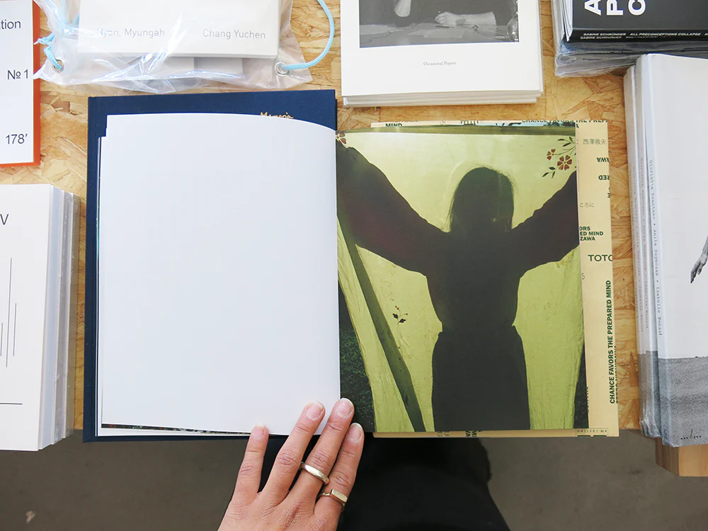 Jake Nemirovsky – Big Bug - Image 5