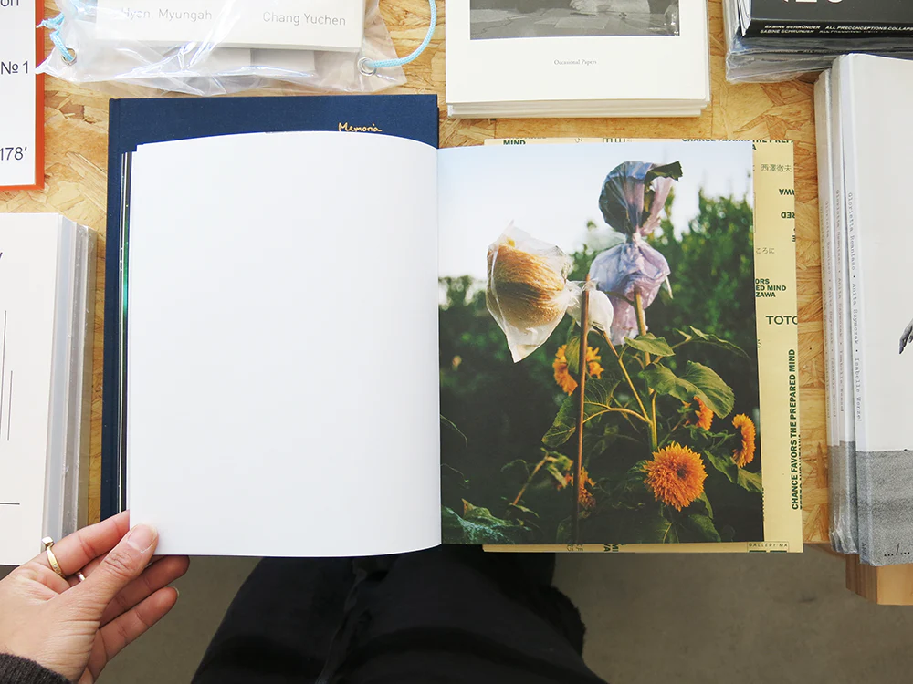 Jake Nemirovsky – Big Bug - Image 6
