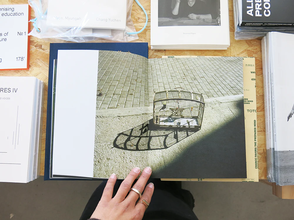 Jake Nemirovsky – Big Bug - Image 7
