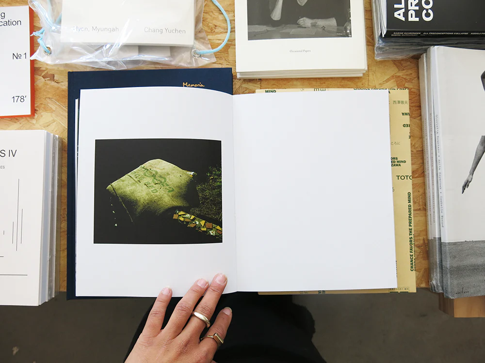Jake Nemirovsky – Big Bug - Image 8