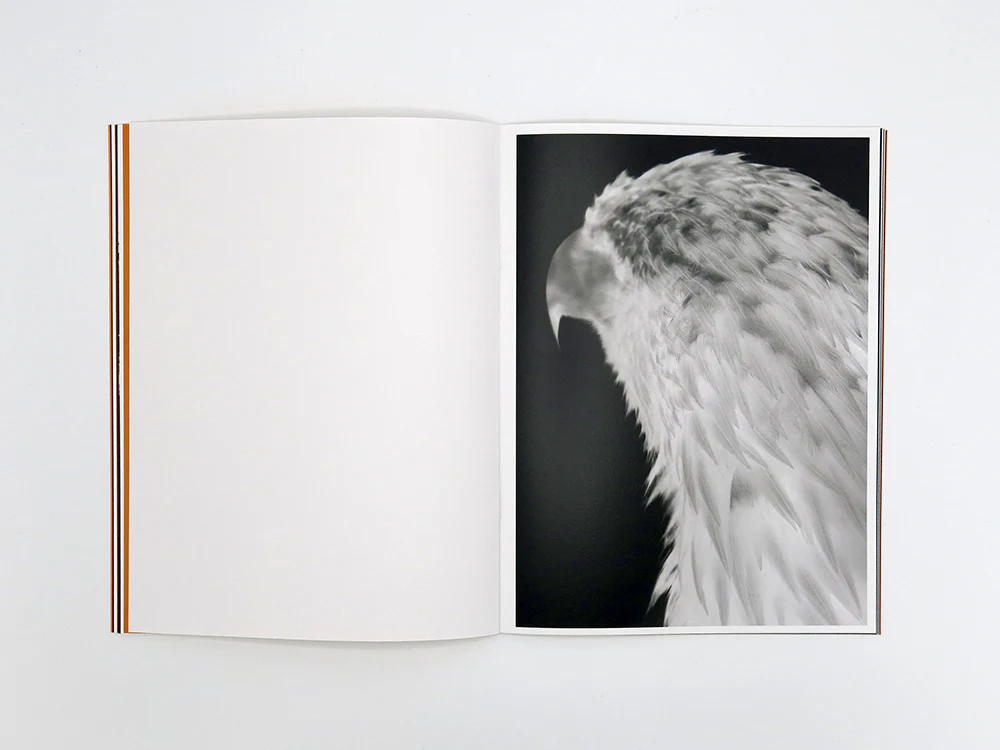 James Tunks – ZONE - Image 10