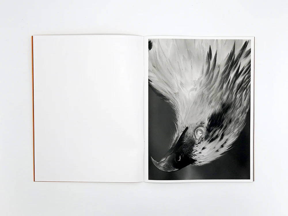 James Tunks – ZONE - Image 4
