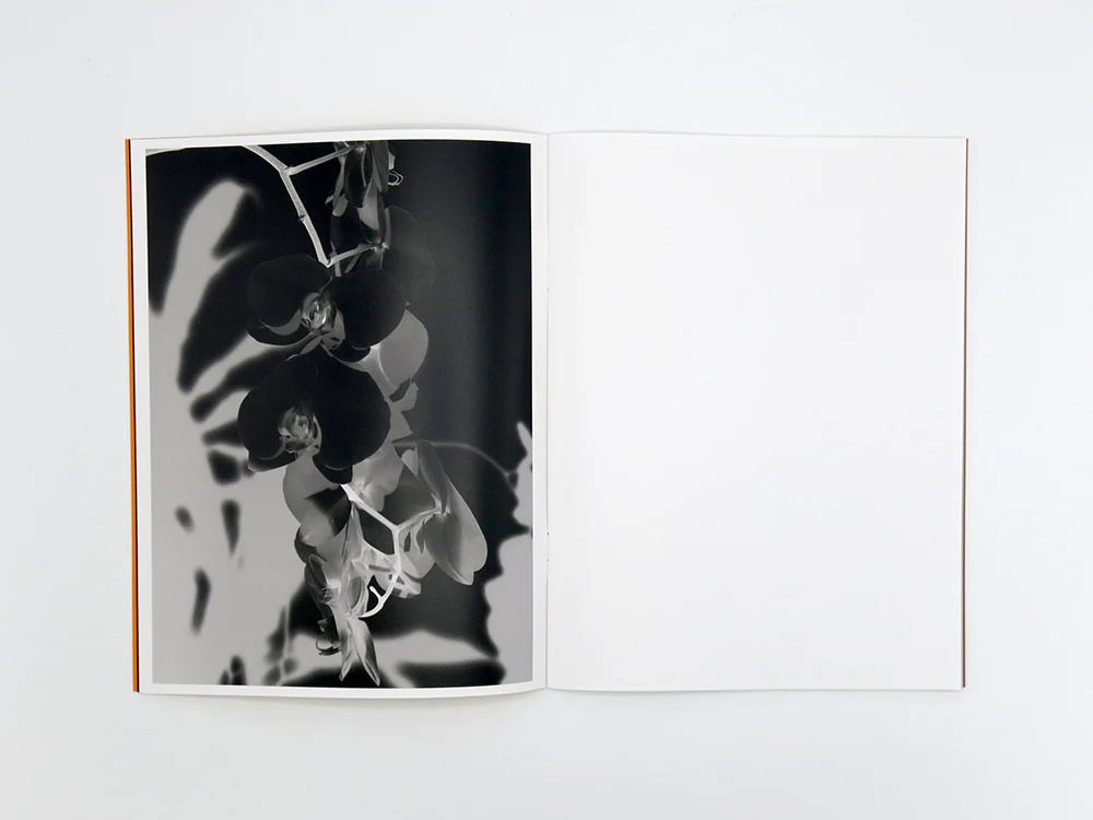 James Tunks – ZONE - Image 5