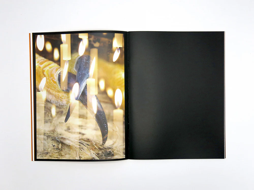 James Tunks – ZONE - Image 7