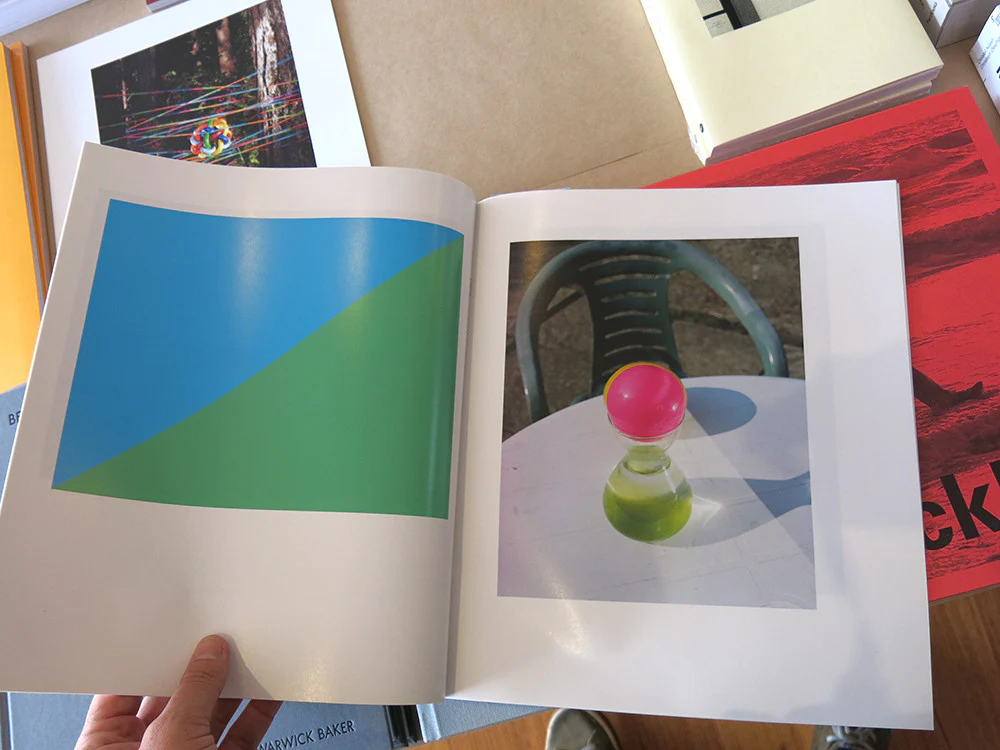 Jason Evans - Pictures for Looking at & Equivalents - Image 6