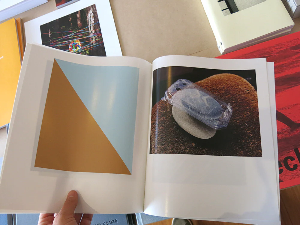 Jason Evans - Pictures for Looking at & Equivalents - Image 7