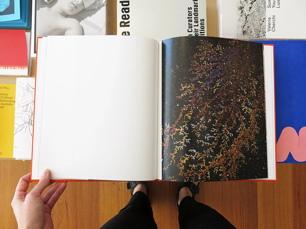 Jason Nocito – PUD - Image 3