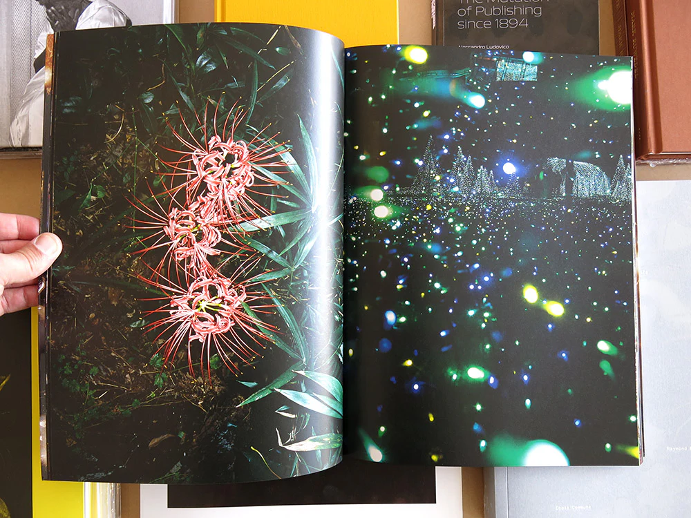 Jean-Vincent Simonet – In Bloom - Image 5