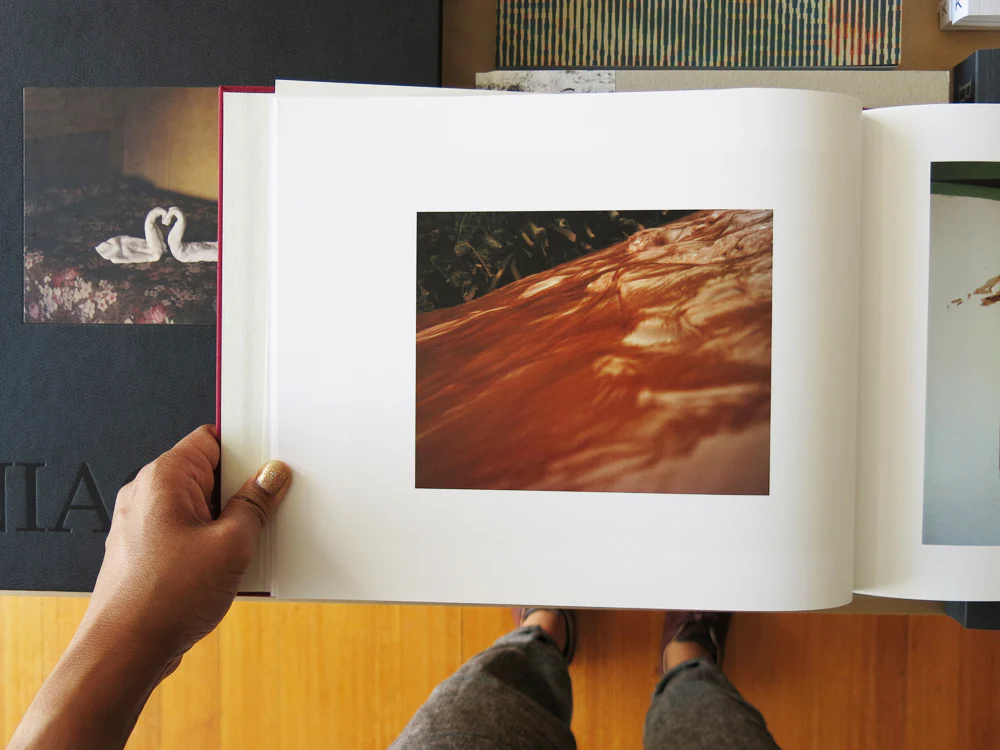 Jem Southam – The Moth - Image 5