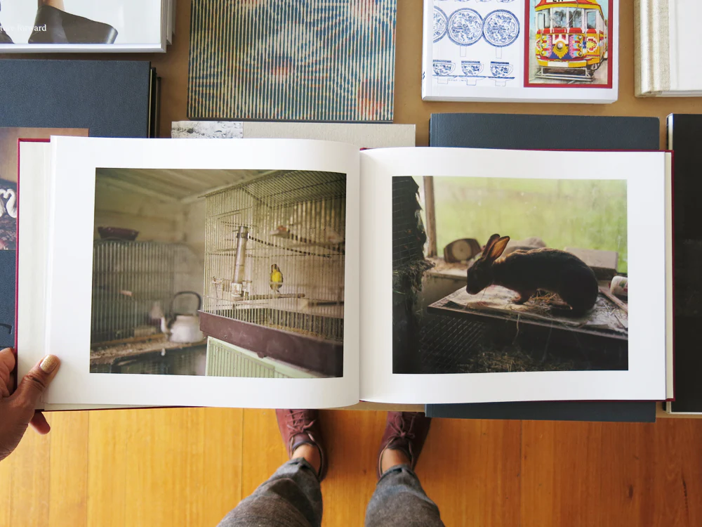 Jem Southam – The Moth - Image 7