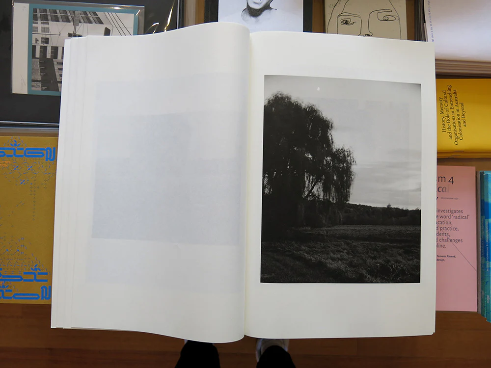 Jenia Fridlyand – Entrance to Our Valley - Image 6