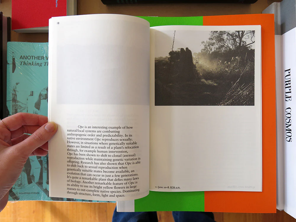 Jessye Wdowin-McGregor & Ren Gregorčič – NATURE, POST-NATURE - Image 3