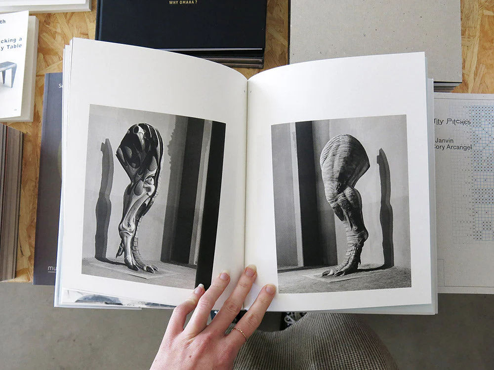Joan Fontcuberta – Contravisiones - Image 7