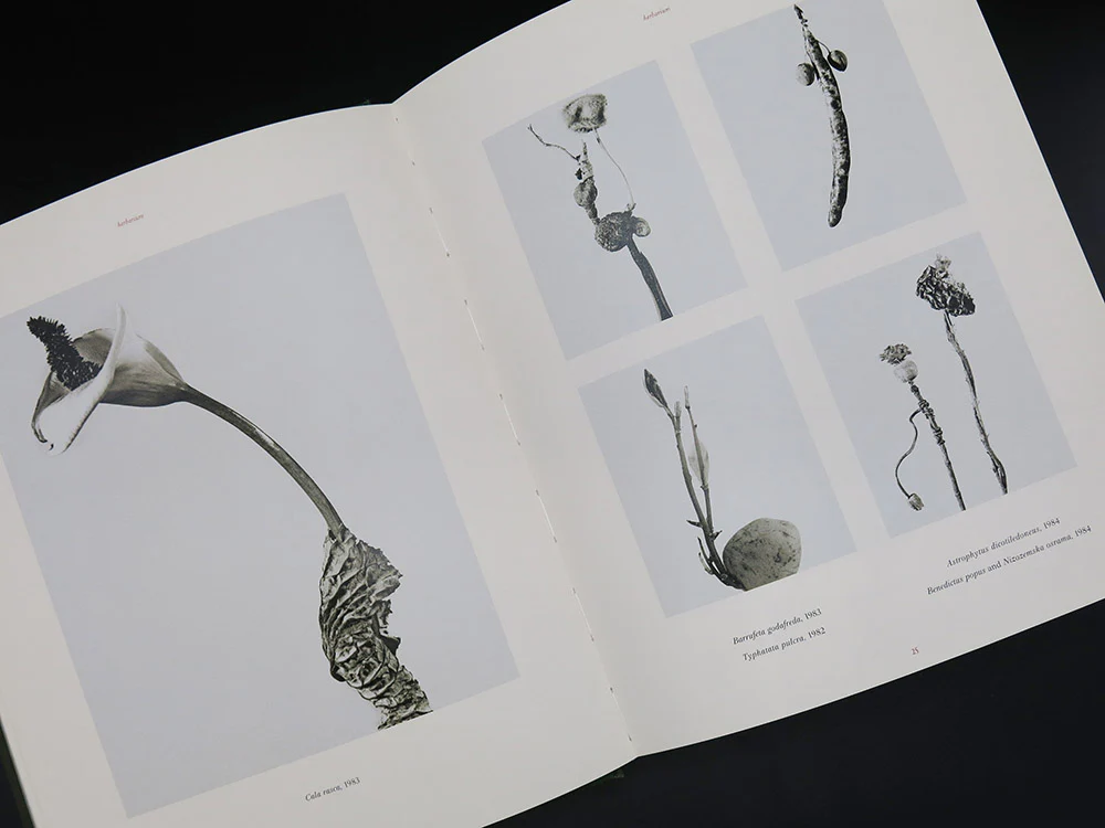 Joan Fontcuberta – The Photography of Nature & The Nature of Photography (Rare) - Image 4