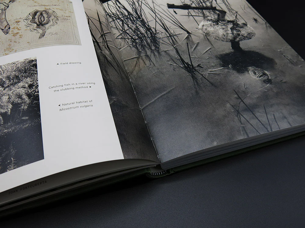 Joan Fontcuberta – The Photography of Nature & The Nature of Photography (Rare) - Image 5