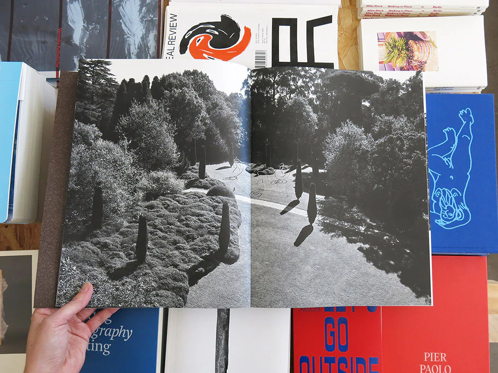 João Gomes da Silva – The Order of Landscape - Image 3