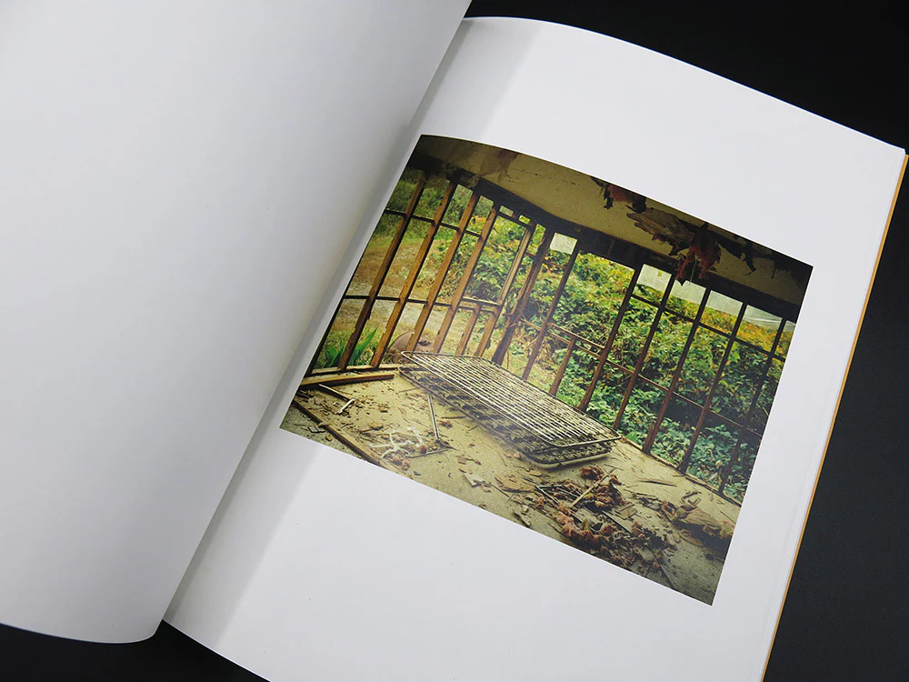 Joe Leavenworth - Native Son (Rare) - Image 3