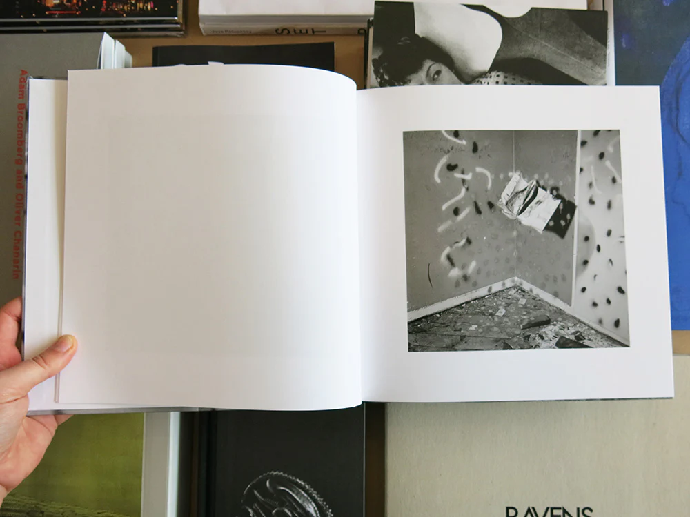 John Divola - Vandalism - Image 3