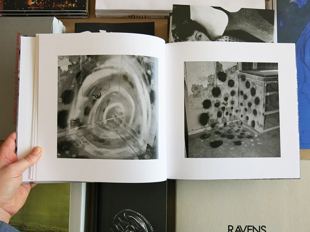 John Divola - Vandalism - Image 4