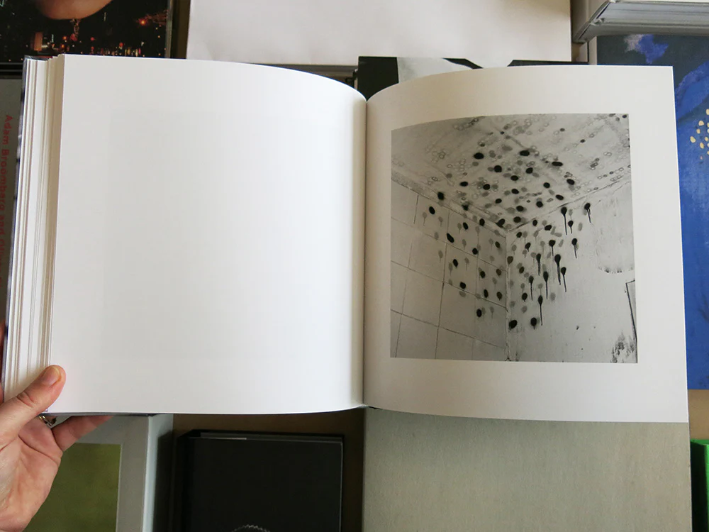 John Divola - Vandalism - Image 5