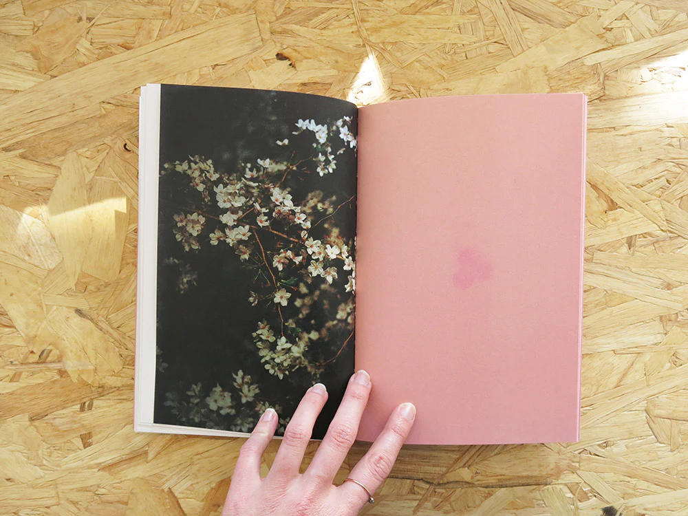 Josée Pedneault – Contre-jour - Image 8