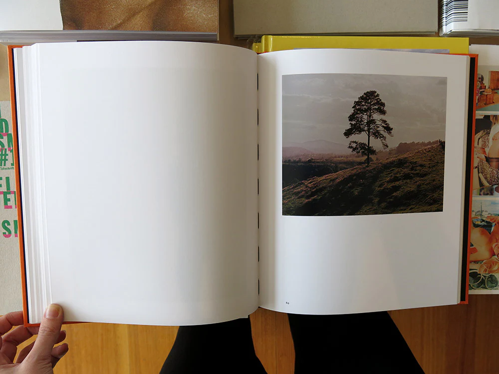 Juan Brenner – Tonatiuh - Image 6