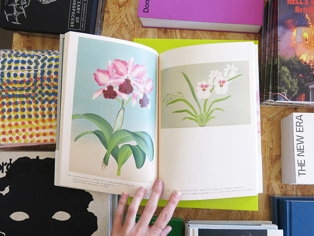 Kaga Shotaro – Rankafu: Japanese Woodblock Prints of Orchids - Image 5