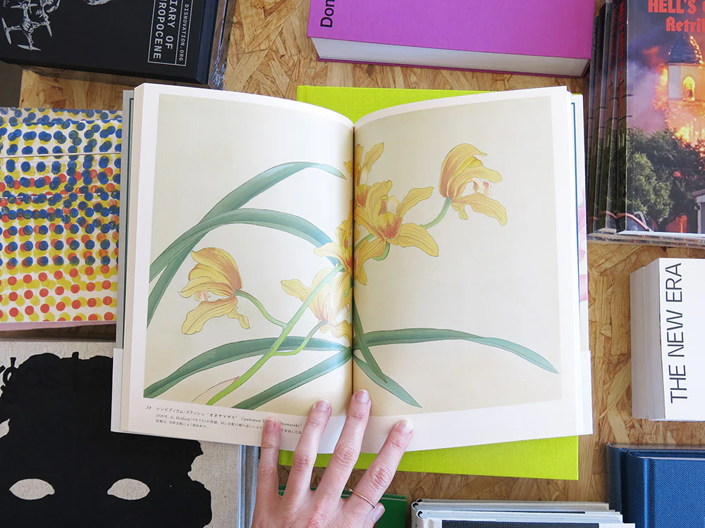 Kaga Shotaro – Rankafu: Japanese Woodblock Prints of Orchids - Image 6