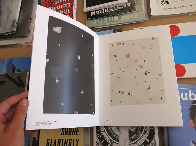 Kees Goudzwaard - Between Red And A Transparent Plane - Image 7