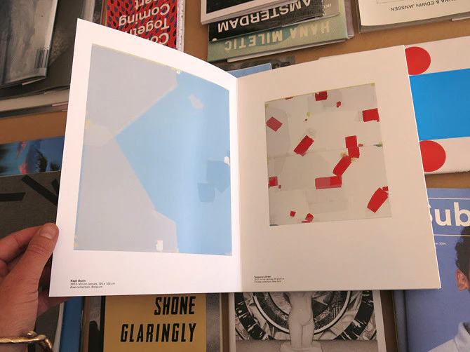 Kees Goudzwaard - Between Red And A Transparent Plane - Image 8