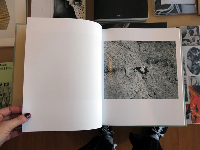 Kristine Potter - Manifest - Image 3