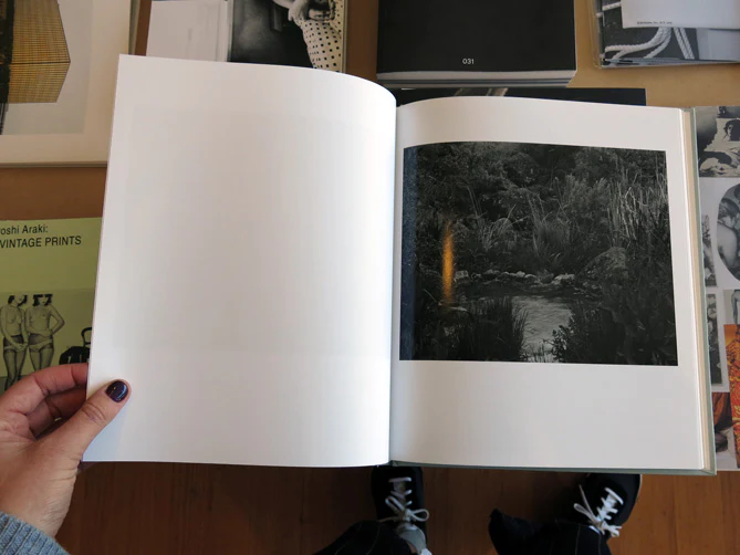 Kristine Potter - Manifest - Image 6