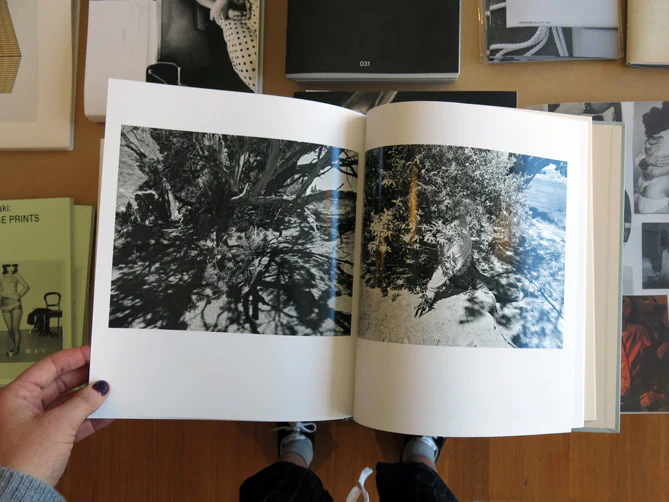 Kristine Potter - Manifest - Image 8