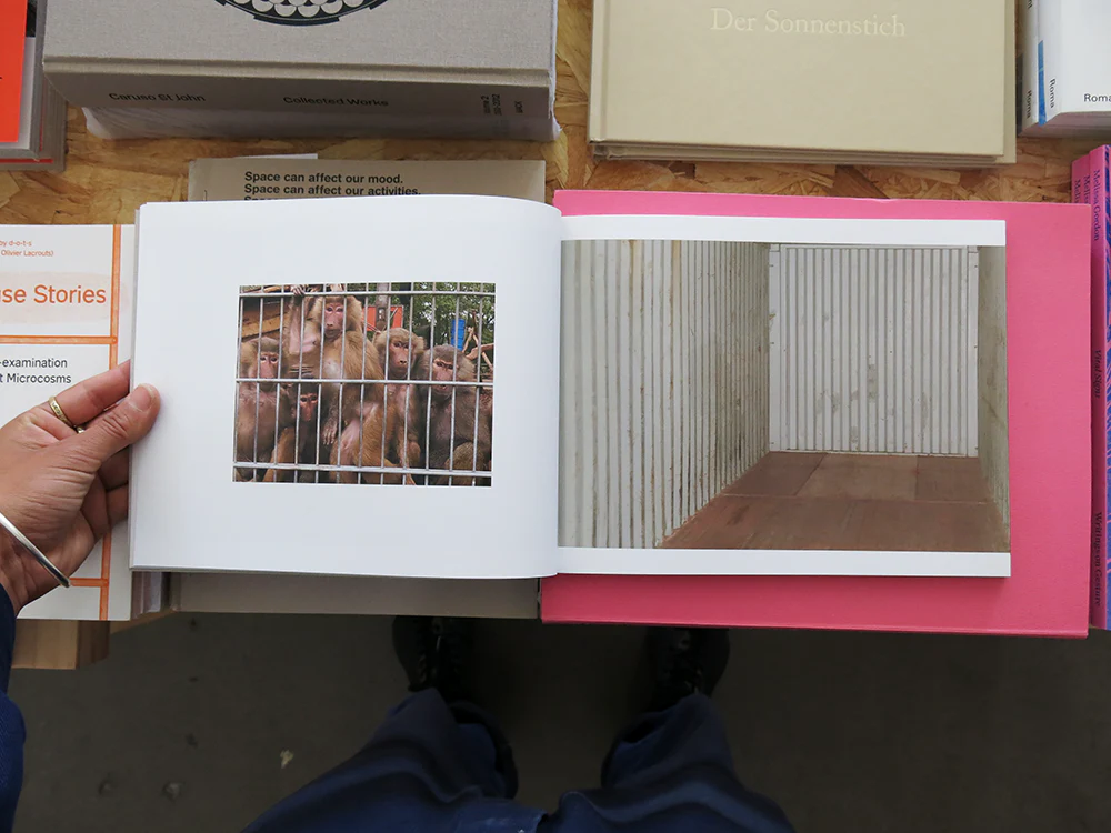 Laura Bielau – TEST - Image 10