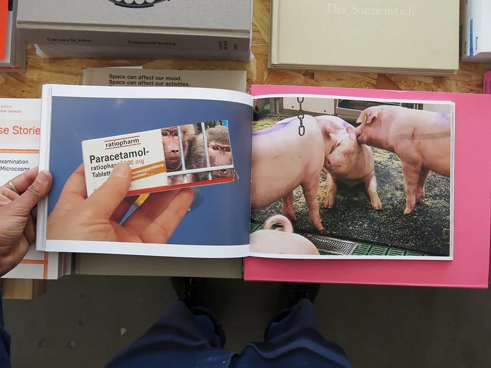Laura Bielau – TEST - Image 5