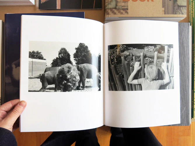 Subscription Series No.5: Lee Friedlander - Head - Image 4