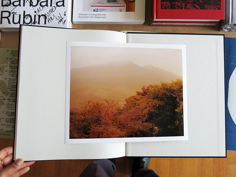 Lena C. Emery – Yuka & The Forest (With Print) - Image 10
