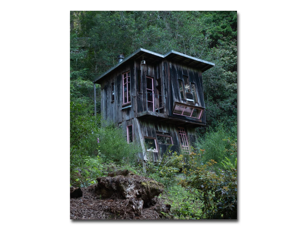 Lenard Smith – Refuge - Image 13