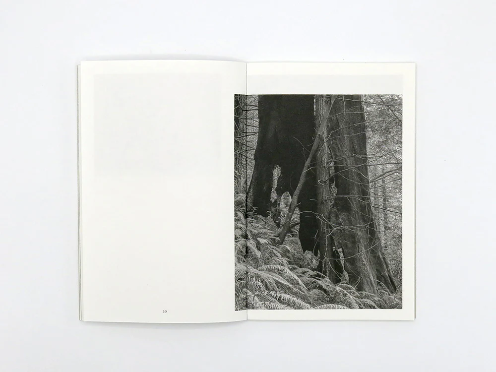 Lenard Smith – Refuge - Image 6