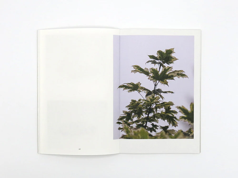 Lenard Smith – Refuge - Image 8