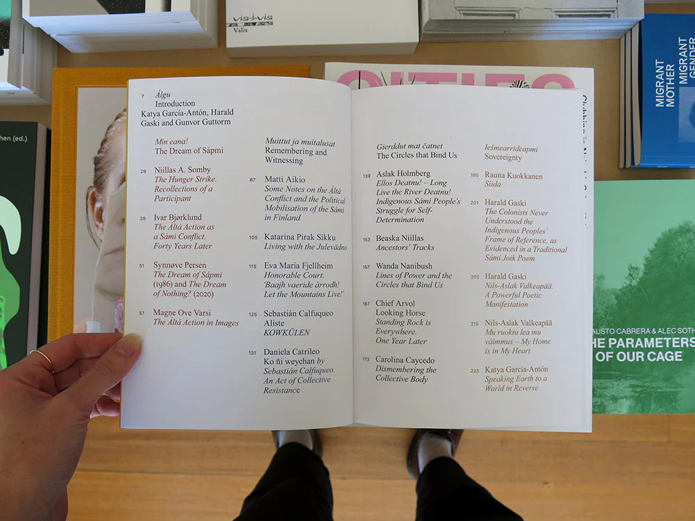 Let The River Flow: An Eco-Indigenous Uprising and Its Legacy in Art, Ecology and Politics - Image 2