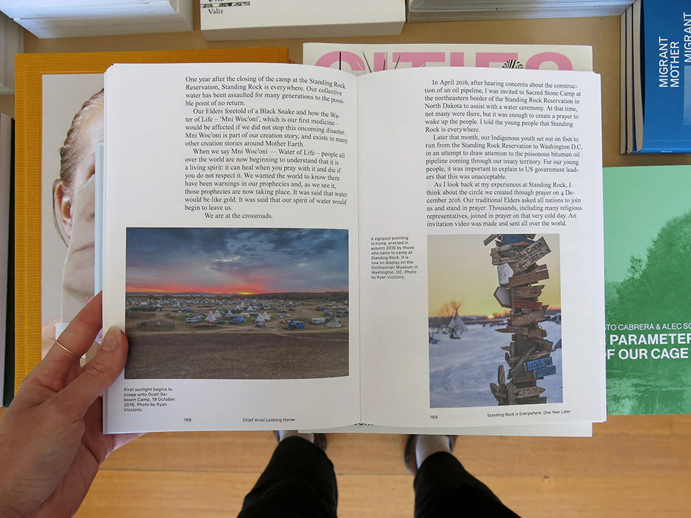 Let The River Flow: An Eco-Indigenous Uprising and Its Legacy in Art, Ecology and Politics - Image 7