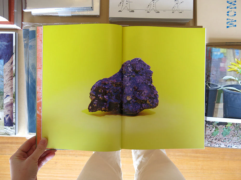 Lisa Barnard – The Canary and The Hammer - Image 3