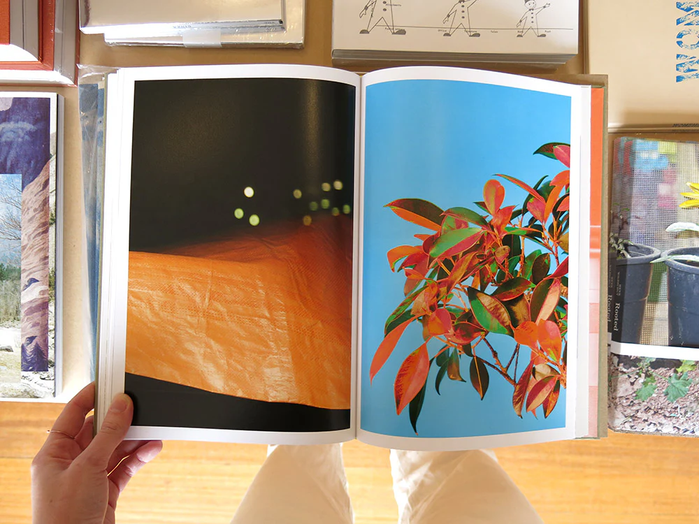 Lisa Barnard – The Canary and The Hammer - Image 7