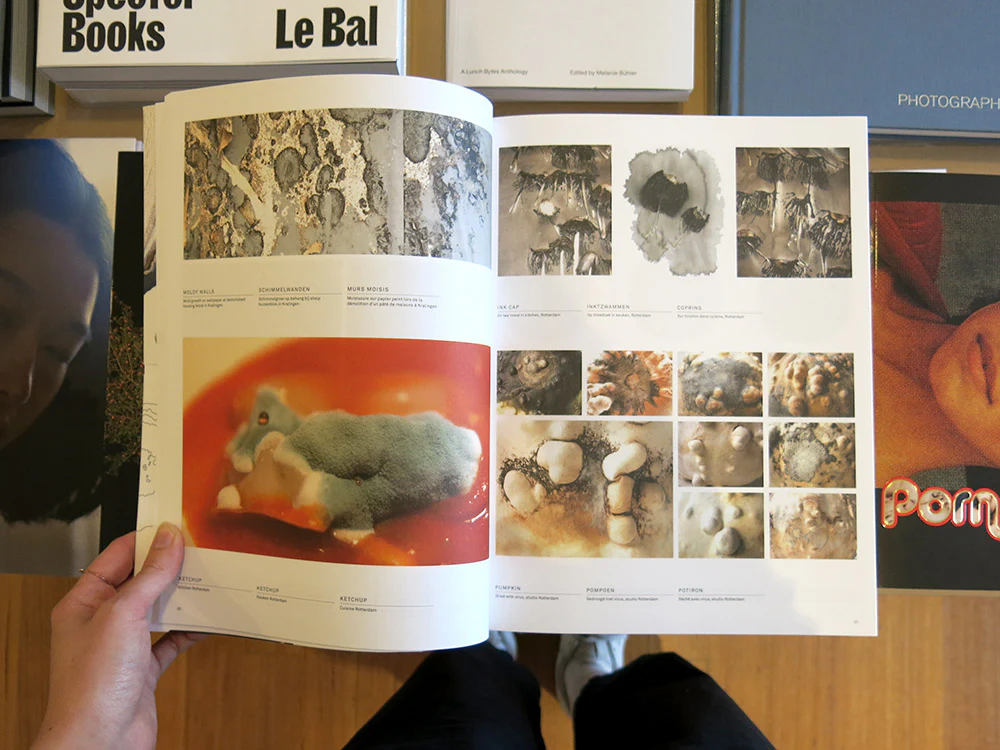 Lizan Freijsen – The Living Surface: An Alternative Biology Book on Stains - Image 2
